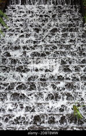 Cascade dans le jardin Tropican du Monte Palace à Funchal, île de Madère, Portugal. Banque D'Images