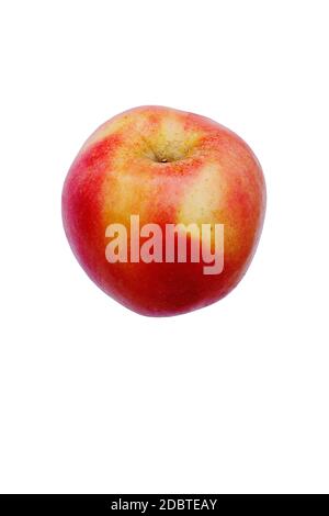 Pomme de rose du Pacifique (Malus domestica Sciros). Hybride entre les pommes Gala et Splendor. Image de pomme isolée sur fond blanc Banque D'Images