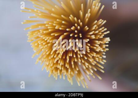 Macro de nombreuses nouilles spaghetti et nouilles aux œufs Banque D'Images