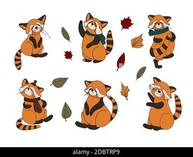 Petit panda, panda rouge, ours de chat. Personnage mignon bête. Animaux amusants. Décoration d'automne. Illustration vectorielle isolée sur fond blanc. Banque D'Images