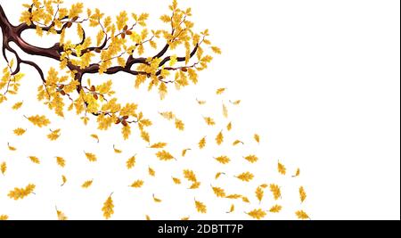 Branche d'automne jaune d'un chêne avec des glands. Feuilles volantes. Illustration vectorielle Banque D'Images