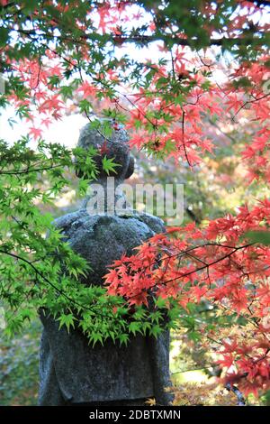 Temple historique isolé, atmosphère sereine et cadre paisible dans le jardin. Shuon-an Ikkyuji à Kyoto Banque D'Images