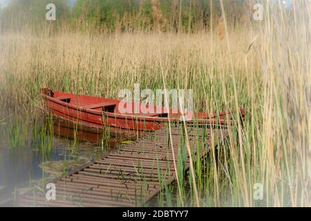 Rouge en bois barque amarré à une jetée rustique sur un lac entre les roseaux et nénuphars dans un paysage rural pittoresque Banque D'Images