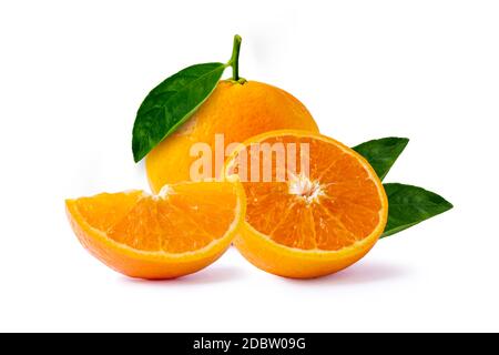 Agrumes et tranches d'oranges isolées sur fond blanc. Banque D'Images