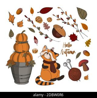 Illustration du jour de Thanksgiving. Bonjour, automne. Ensemble d'autocollants d'automne Vector Banque D'Images