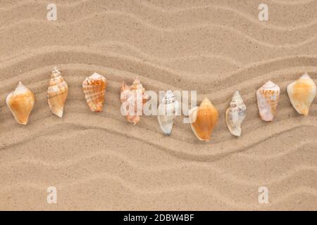 En ligne de coquillages qui zigzaguent sur les dunes. Vue d'en haut. Copier l'espace. Banque D'Images