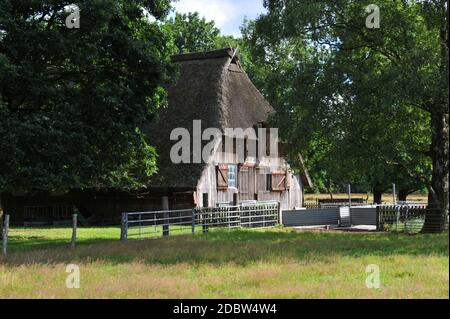 Sheepfold dans la Heath de Lüneburg Banque D'Images