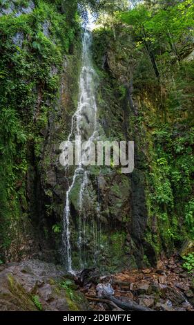 Cascade de Burgbach près de Bad Rippoldsau-Schapbach dans la Forêt Noire, Allemagne Banque D'Images