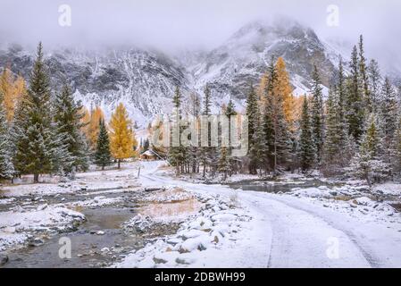 Paysage d'automne pittoresque avec une route de terre dans les montagnes à travers la forêt avec des spruces verts et des mélèzes dorés et la première neige sur un gelé Banque D'Images