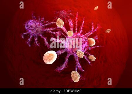 Illustration en rendu 3D des cellules T du système immunitaire à attaquer les cellules de cancer de plus en plus. Banque D'Images