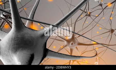 Rendu 3D Illustration d'un réseau de cellules de neurones biologiques transmettre des signaux. Banque D'Images