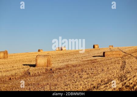 Espagnol-espagnol champ faussé de l'Espagne avec de la paille récoltée en balles Banque D'Images