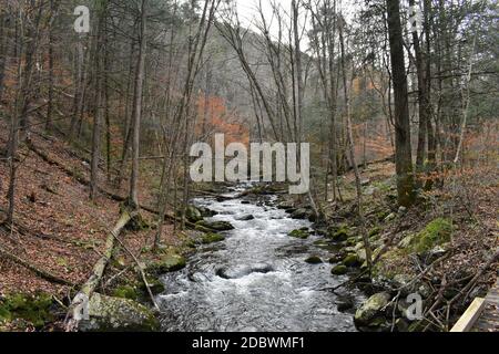 Une rivière à écoulement rapide dans une forêt d'automne morte entourée de Foliage Banque D'Images