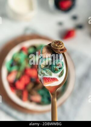 Plats tendance - céréales à crêpes. Bol de mini crêpes aux céréales colorées dans une cuillère avec du lait. Petites crêpes de couleur naturelle - matcha vert, spir de dinde Banque D'Images