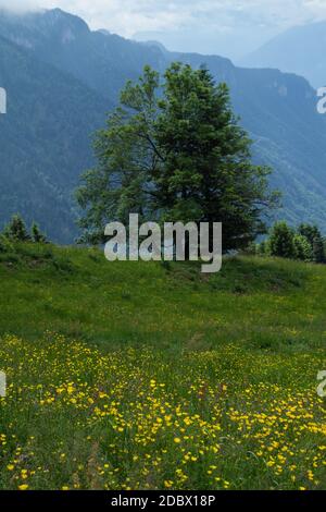 Creux de la cierge vaud,suisse, Banque D'Images