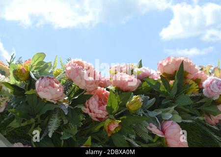 Pivoines rose vif sur fond bleu ciel par une journée ensoleillée d'été. Copier l'espace Banque D'Images