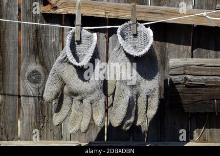 Paire de gants de jardin sales qui sèchent et pendent sur le corde avec des épingles à linge sur un arrière-plan de clôture en bois Banque D'Images
