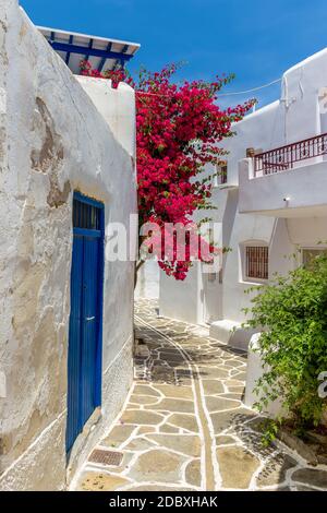 Allée cycladitique traditionnelle avec une rue étroite, des maisons blanchies à la chaux et un bougainvilliers en fleur sur l'île de Marpissa Paros, Grèce. Banque D'Images