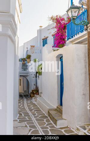 Allée cycladitique traditionnelle avec une rue étroite, des maisons blanchies à la chaux et un bougainvilliers en fleur sur l'île de Marpissa Paros, Grèce. Banque D'Images