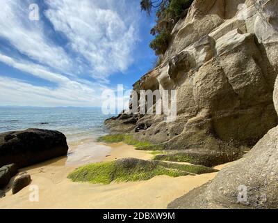 Magnifique paysage dans le parc national d'Abel Tasman, région de Nelson, Nouvelle-Zélande Banque D'Images