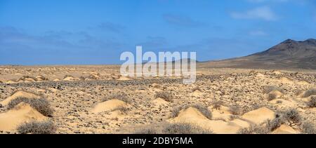 Étendues de sable désertes de la péninsule de Jandia. Fuerteventura. Îles Canaries. Espagne. Banque D'Images