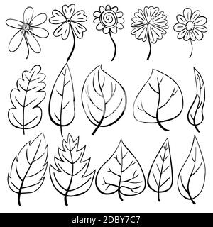 ensemble de fleurs et de feuilles noir et blanc pour la coloration livre Banque D'Images
