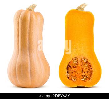 courge butternut de citrouille isolée sur fond blanc, pleine profondeur de champ Banque D'Images