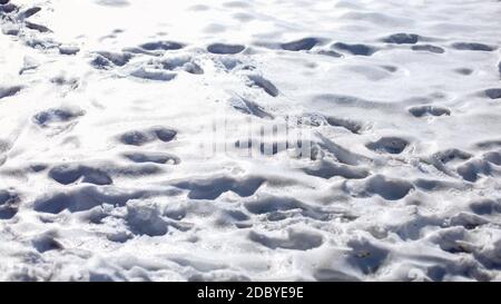 Des traces de pas dans la fonte de neige brillant sur la lumière du soleil. Banque D'Images