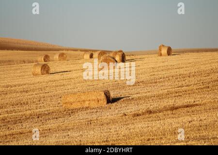Espagnol-espagnol champ faussé de l'Espagne avec de la paille récoltée en balles Banque D'Images