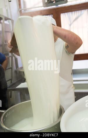 production de la mozzarella typique des pouilles appelée burrata. Banque D'Images