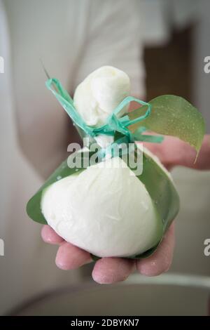 production de la mozzarella typique des pouilles appelée burrata. le produit final est prêt à la vente. Banque D'Images