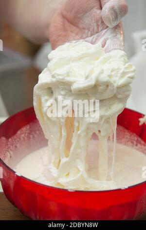 production de la mozzarella typique des pouilles appelée burrata. Banque D'Images
