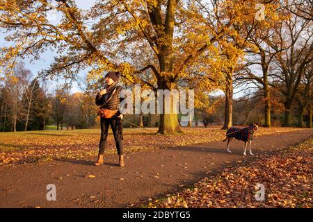 Northampton, Royaume-Uni, 18 novembre 2020. Ce matin, à l'aube colorée à Abington Park, découvrez les couleurs des arbres tandis que ce marcheur s'arrête pour discuter. Crédit : Keith J Smith./Alamy Live News Banque D'Images