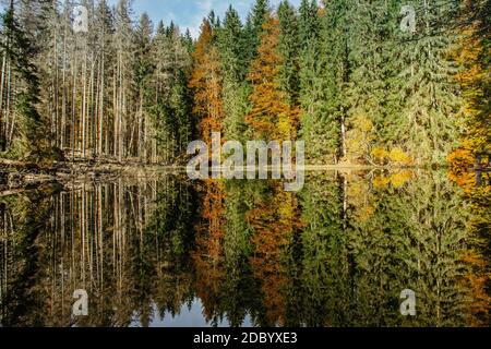 Lac de Boubin. Reflet des arbres d'automne de la forêt primitive de Boubin, montagnes de Sumava, République Tchèque. Réservoir d'eau situé à l'altitude de 925 M. Cz Banque D'Images