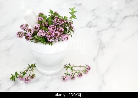 Herbe de thym immunisée dans un mortier de marbre avec pilon. Utilisé pour le remède contre la grippe et le rhume. Banque D'Images