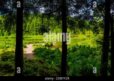 Lagoa do Canario. Vue sur le lagon vert du lac des Canaries sur l'île de Sao Miguel, les Açores, le Portugal sur un beau ciel ensoleillé Banque D'Images