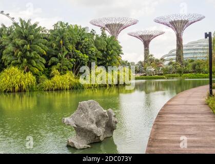 Lac Dragonfly dans les jardins au bord du lac - Singapour Banque D'Images