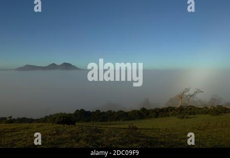 Les collines d'Eildon s'élèvent au-dessus d'une inversion de nuages avec un arbre solitaire mis en évidence par un arc-en-ciel lors d'une belle journée d'automne. Banque D'Images