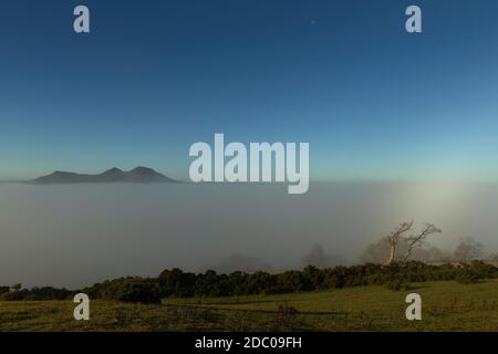 Les collines d'Eildon s'élèvent au-dessus d'une inversion de nuages avec un arbre solitaire mis en évidence par un arc-en-ciel lors d'une belle journée d'automne. Banque D'Images