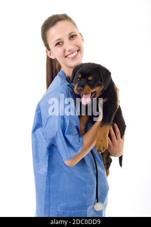 Brunette avec un vétérinaire de rottweiler puppy dog isolé sur fond blanc Banque D'Images