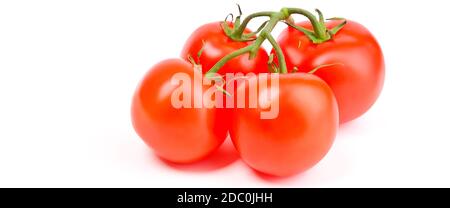 Tomates sur une branche verte sur fond blanc. Tomates fraîches et lumineuses. Banque D'Images