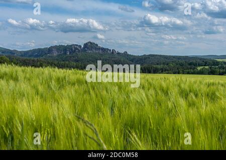 Vue panoramique sur schrammstein rochers dans la Suisse saxonne, Allemagne Banque D'Images