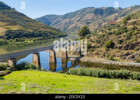 Vue panoramique sur la vallée du Douro et la rivière avec ses vignobles en terrasse près du village de Tua, Portugal Banque D'Images