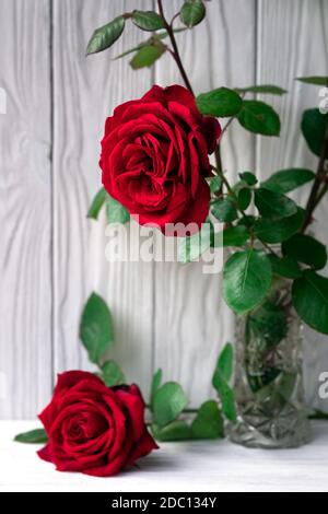 Les roses rouges continuent de vivre dans le vase en cristal sur l'arrière-plan des vieux panneaux de bois peints en blanc. Utilisable pour les cartes de vœux d'anniversaire ou de mariage. Banque D'Images
