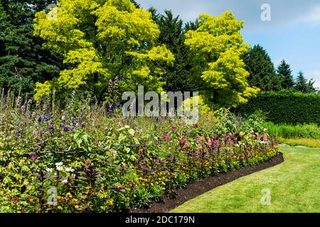 Alma Van Dusen Garden, jardin botanique Van Dusen, Vancouver, BC, Canada Banque D'Images