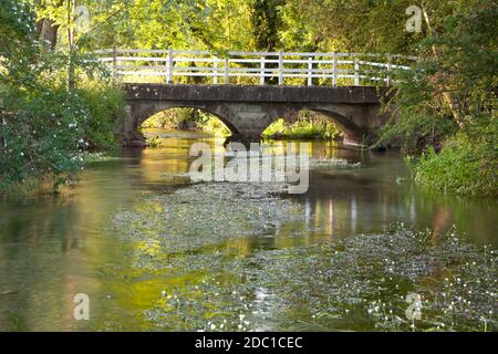 Un pont sur la rivière Ebble à Broad Chalke dans le Wiltshire. Banque D'Images