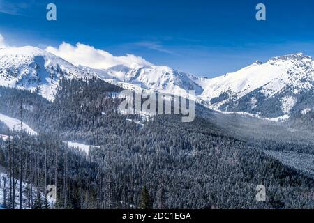 Belle forêt de pins avec revêtement d'hiver dans la vallée. Sommets enneigés des montagnes Tatra, Bukowina Tatrzanska, Pologne Banque D'Images