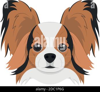 Chien papillon isolé sur fond blanc illustration vectorielle Illustration de Vecteur