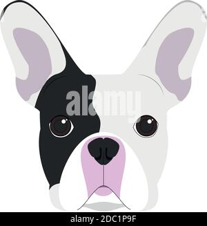 Chien Bulldog français isolé sur fond blanc illustration vectorielle Illustration de Vecteur