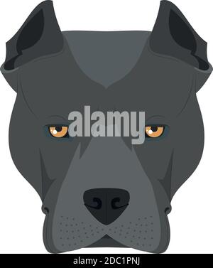 Chien américain Staffordshire Terrier isolé sur fond blanc illustration vectorielle Illustration de Vecteur